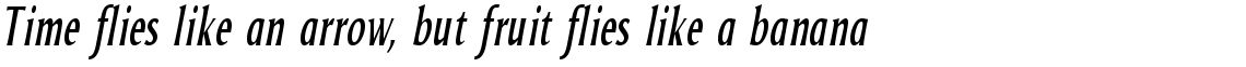 Odense Compressed Italic