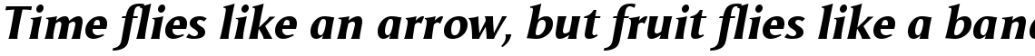 Odense Extra Bold Italic