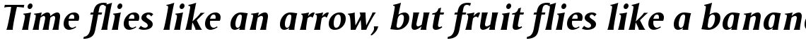 Odense Bold Italic