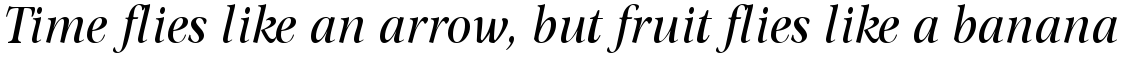 Omnibus Italic