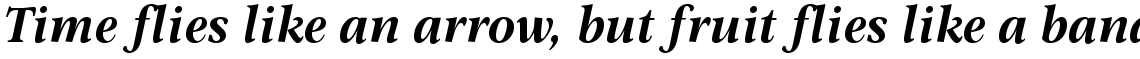 Omnibus Bold Italic
