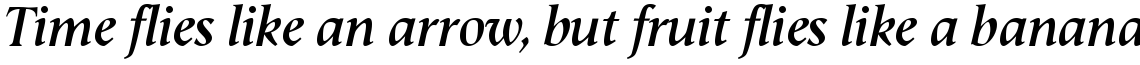 Semper Bold Italic