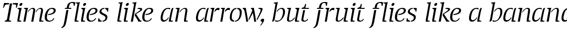Transport Light Italic