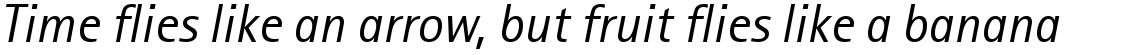 Rotis Sans Serif 56 Italic