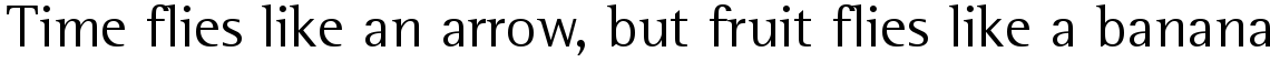 Rotis Semi Serif 55 Roman