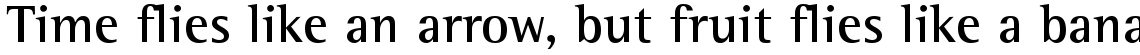 Rotis Semi Serif 65 Bold