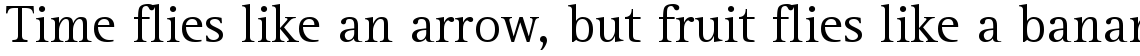 Rotis Serif 55 Roman