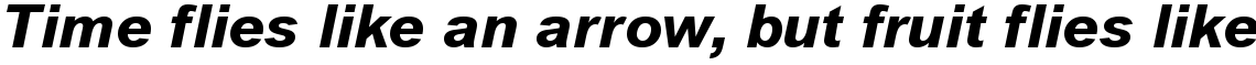Arial Extra Bold Italic