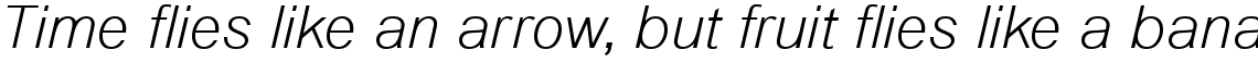 Arial Light Italic