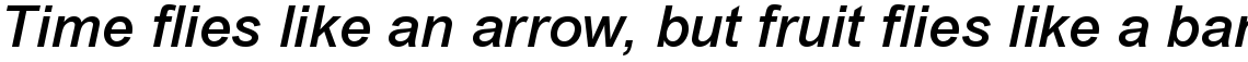 Arial Medium Italic