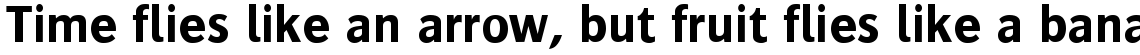 Bosis Bold