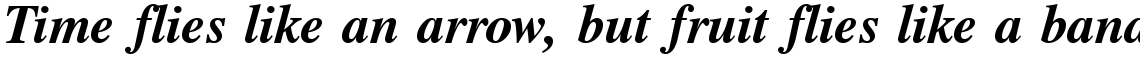 CG Times Bold Italic