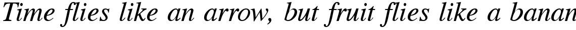 CG Times Italic