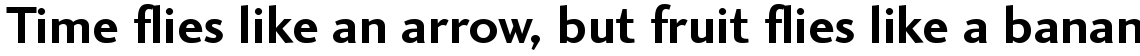 Charlotte Sans Bold