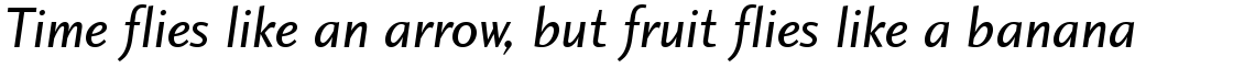 Charlotte Sans Book Italic