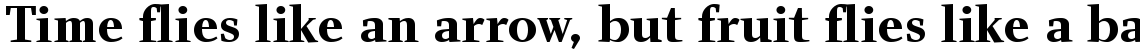 Charlotte Serif Bold