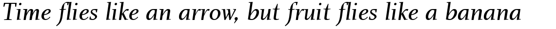 Charlotte Serif Book Italic