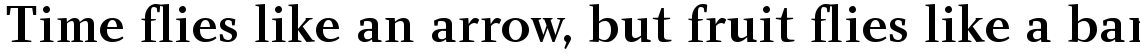 Charlotte Serif Medium