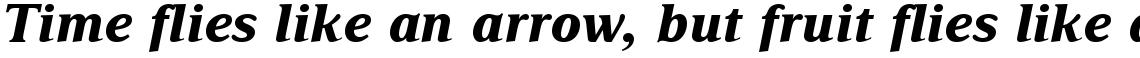 Delima Bold Italic