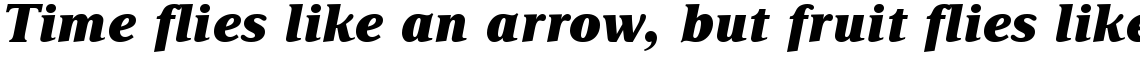 Delima Extra Bold Italic