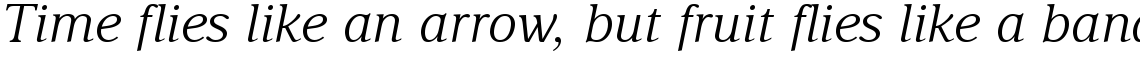Delima Light Italic