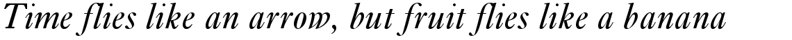 Ehrhardt Italic