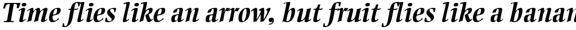 Ellington Bold Italic