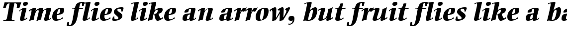 Ellington Extra Bold Italic