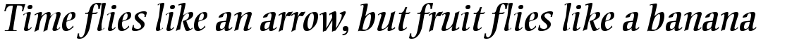 Ellington Italic