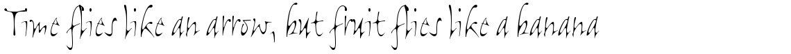 Flight