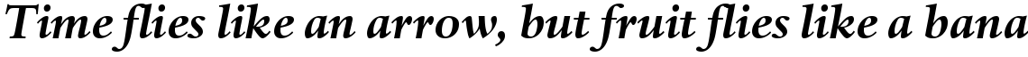 Haarlemmer Bold Italic