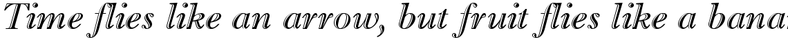 Imprint Shadow Italic