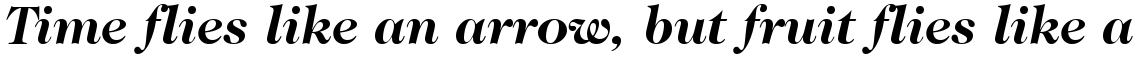 ITC Caslon No. 224 Bold Italic