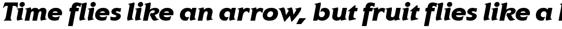 ITC Elan Black Italic