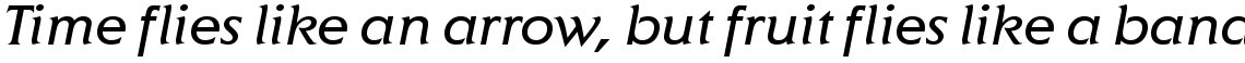 ITC Elan Book Italic
