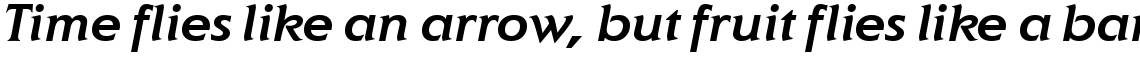 ITC Elan Medium Italic
