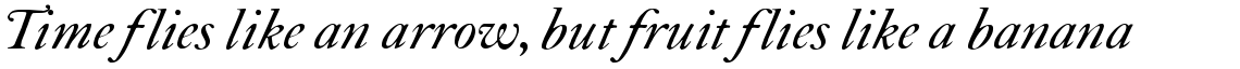 ITC Founder's Caslon 30 Italic