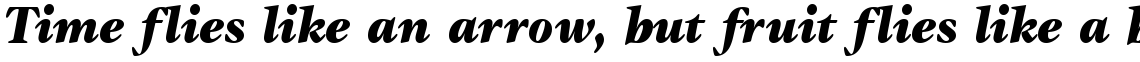 ITC Gamma Black Italic