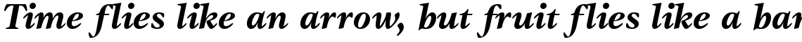 ITC Gamma Bold Italic