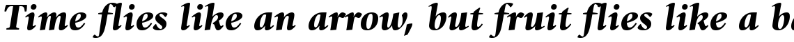 ITC Giovanni Black Italic