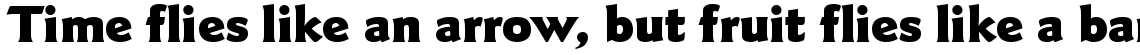 ITC Goudy Sans Black