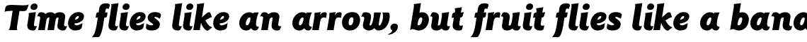ITC Goudy Sans Black Italic