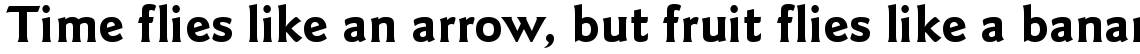 ITC Goudy Sans Bold