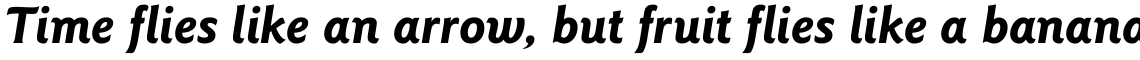 ITC Goudy Sans Bold Italic