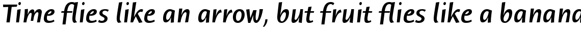 ITC Humana Sans Medium Italic
