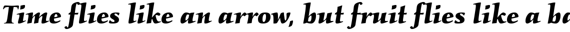 ITC Kallos Bold Italic