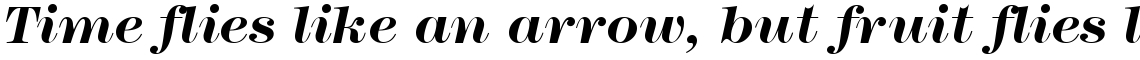 ITC Modern No. 216 Bold Italic