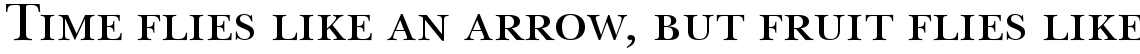 ITC New Baskerville Roman