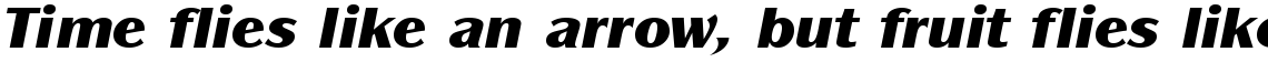 ITC Panache Black Italic