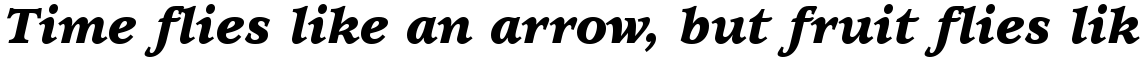 ITC Usherwood Black Italic